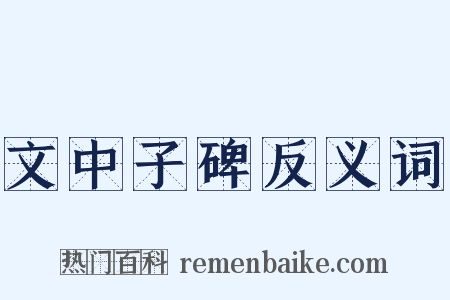 文中子碑反义词是什么意思的图片